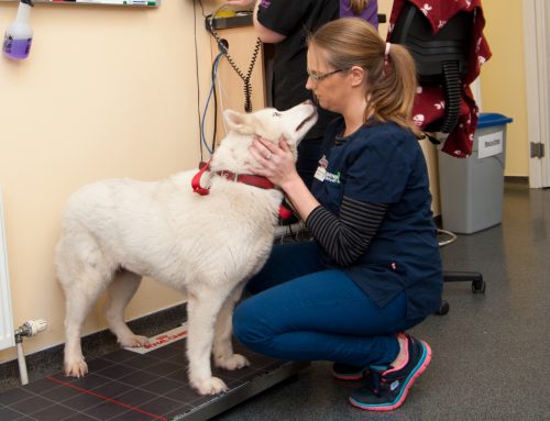 Suspendisse placerat neque quis sapien maximus