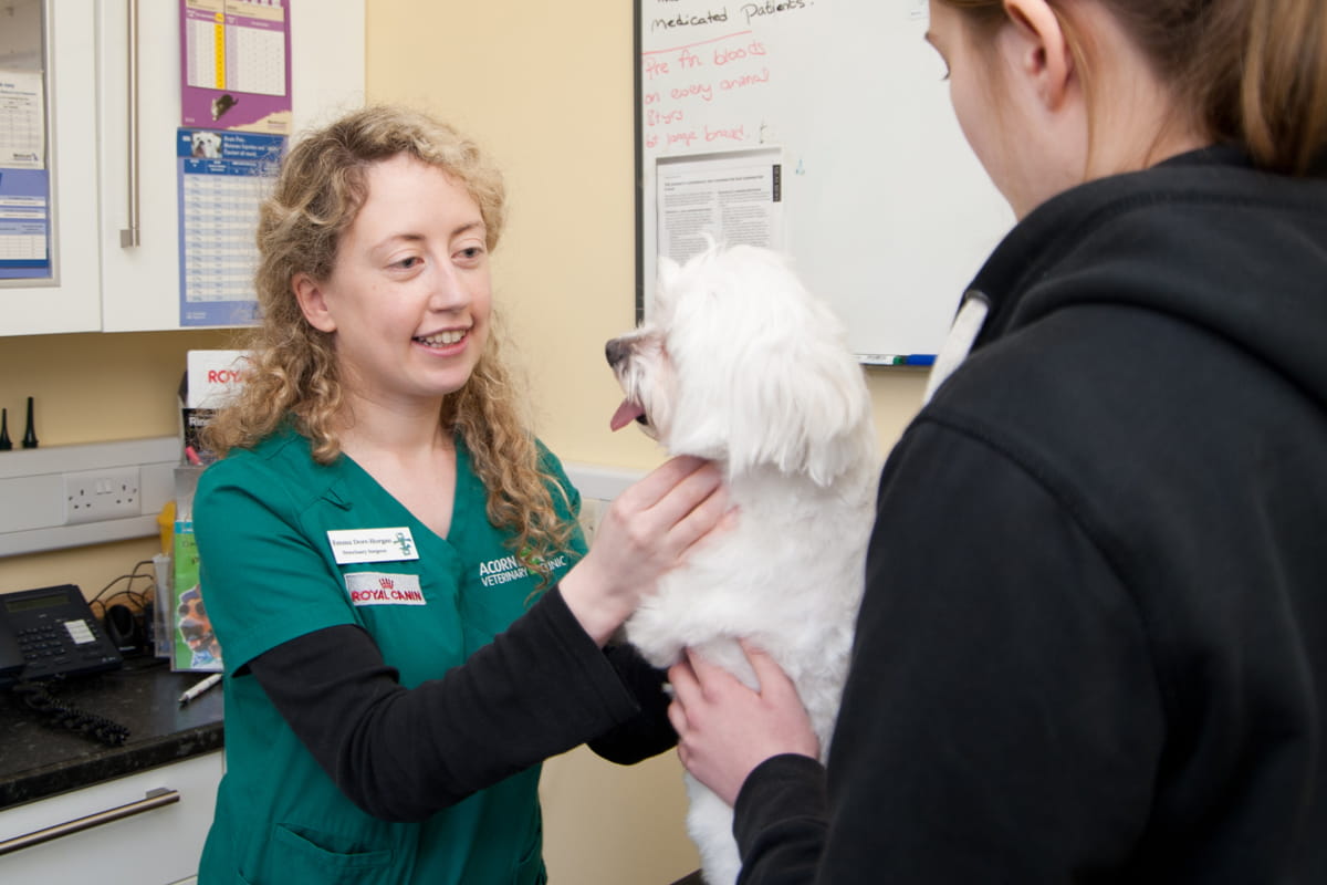 Mallow Vets | Vets in Kildorrery | Acorn Veterinary Clinic